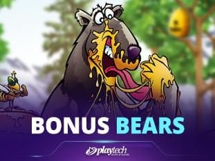 Bonus Bears screenshot
